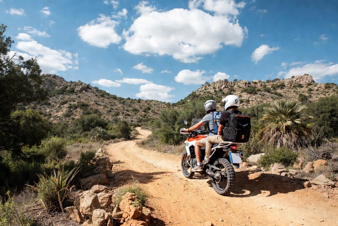 Voyages d’excellence avec Monsieur Pingouin