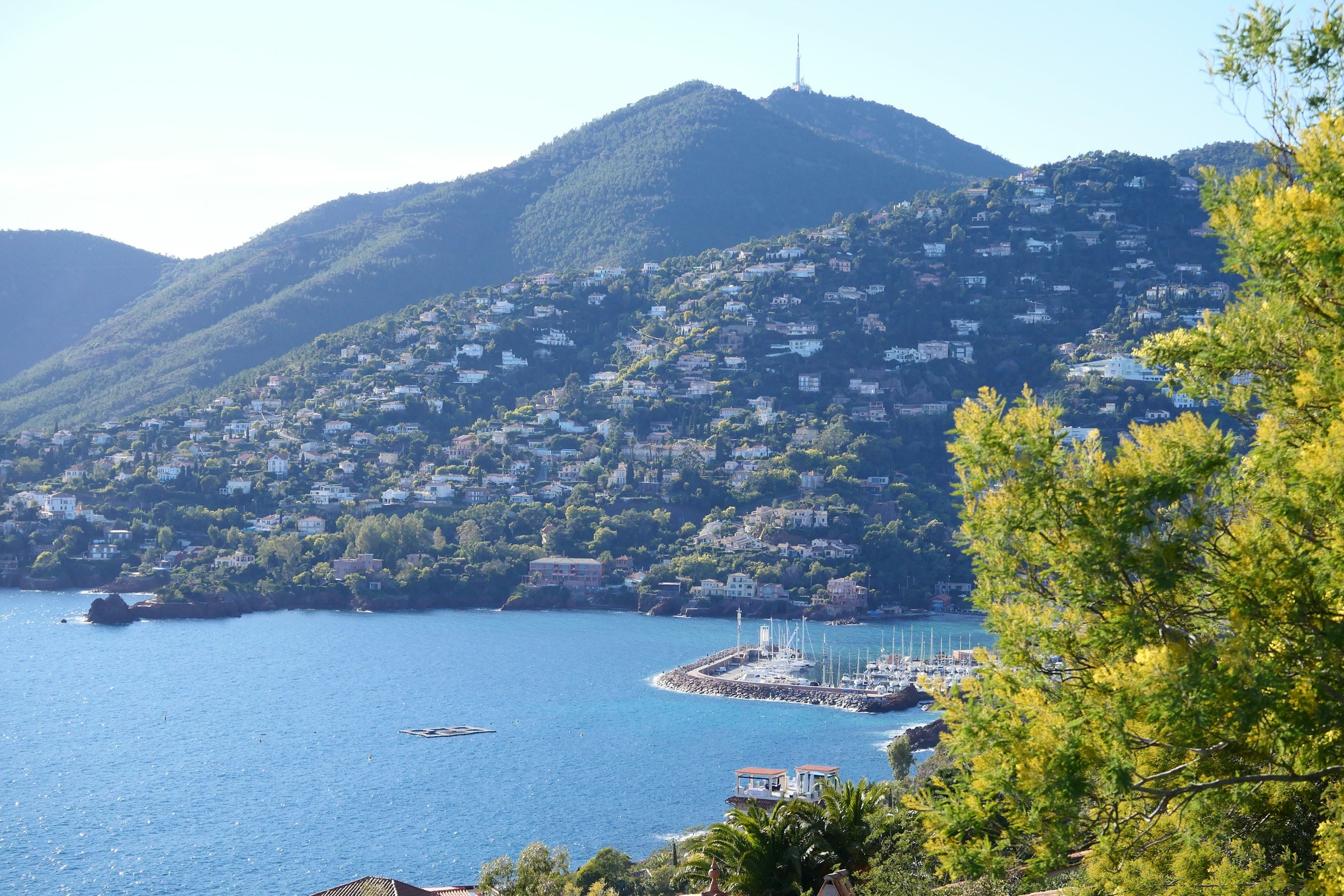 Vacances dans le Var : un paradis pour les amoureux de la nature
