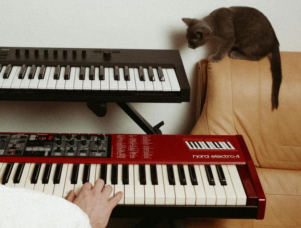 La musique, un remède efficace aussi contre les chats stressés !